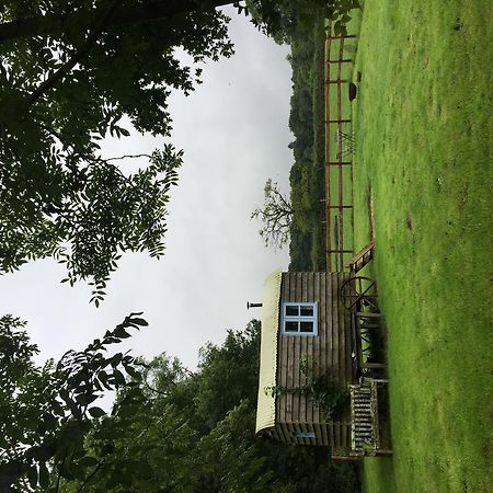 Mollies Hut Villa Frome Exteriör bild